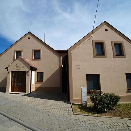 Penzionu Aurelius U Bednaru Pavlov Esterno foto